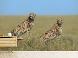 photo-wallpaper-mother-a-son-x