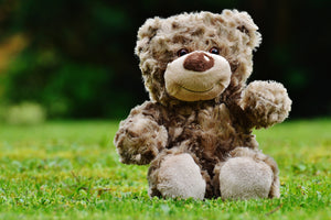 photo-wallpaper-happy-teddy-bear