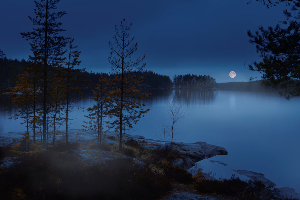 photo-wallpaper-night-mist-x