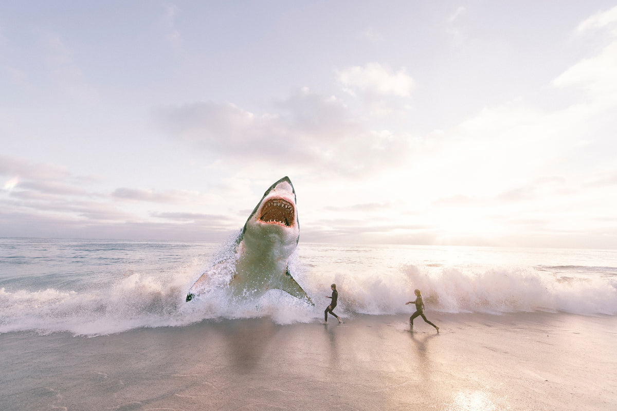 photo-wallpaper-beware-shark