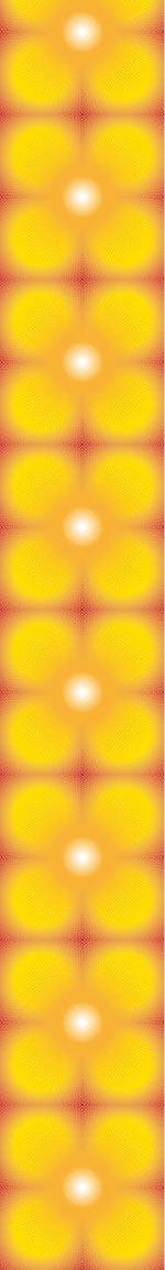 patterned-wallpaper-sun-burst