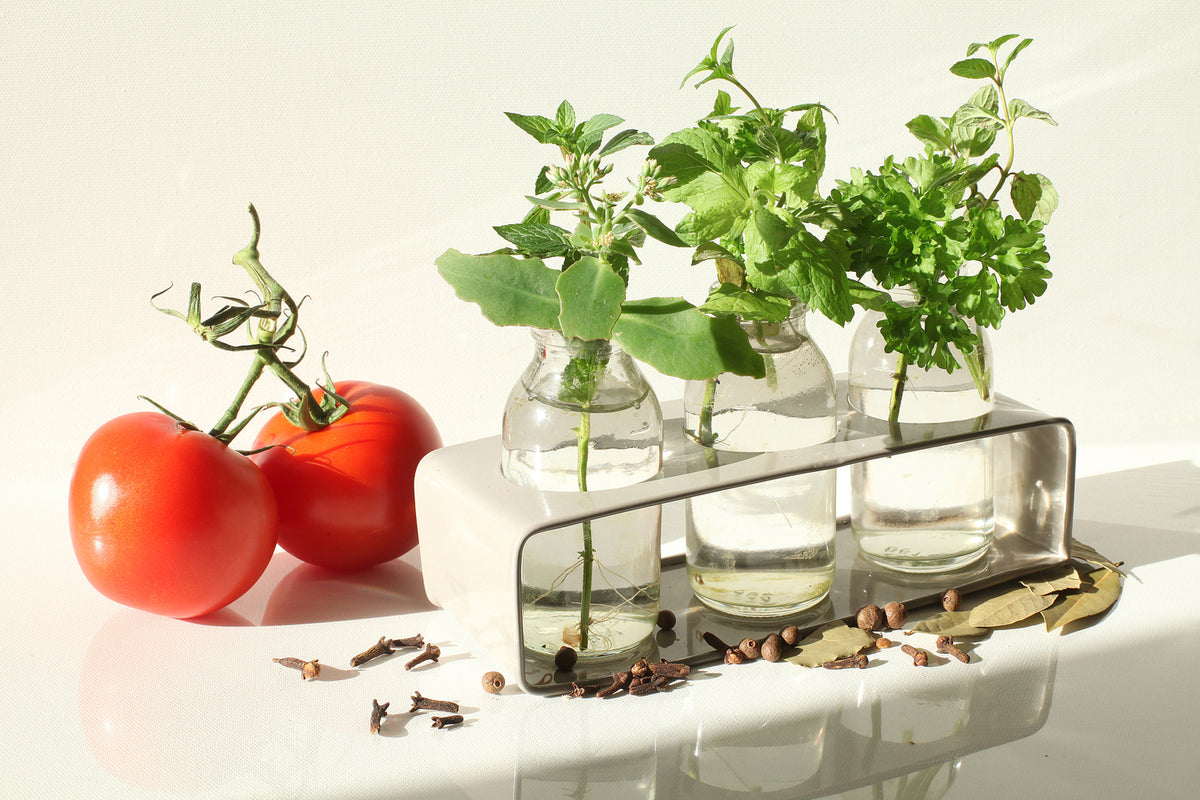 photo-wallpaper-tomatoes-and-herbs