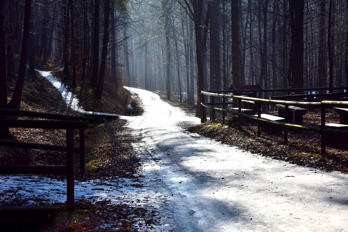 photo-wallpaper-a-path-in-the-snow