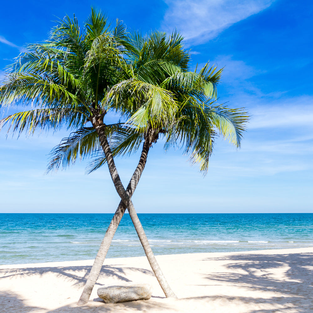 photo-wallpaper-dream-beach-caribbean