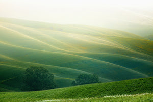 photo-wallpaper-tuscany