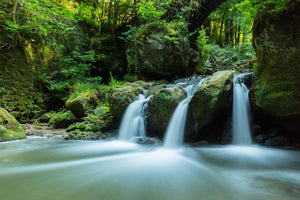 photo-wallpaper-falling-water-in-the-wood