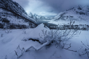 photo-wallpaper-winter-is-coming-a