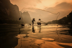 photo-wallpaper-spread-the-fish-nets-x