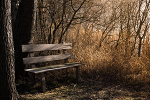 photo-wallpaper-wooden-bench-in-the-forest