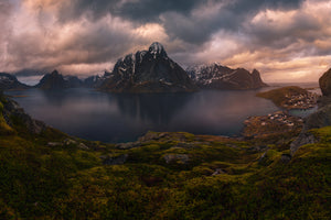 photo-wallpaper-reine-ii