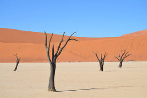 photo-wallpaper-sossusvlei-namibia