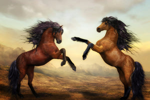 photo-wallpaper-two-wild-horses