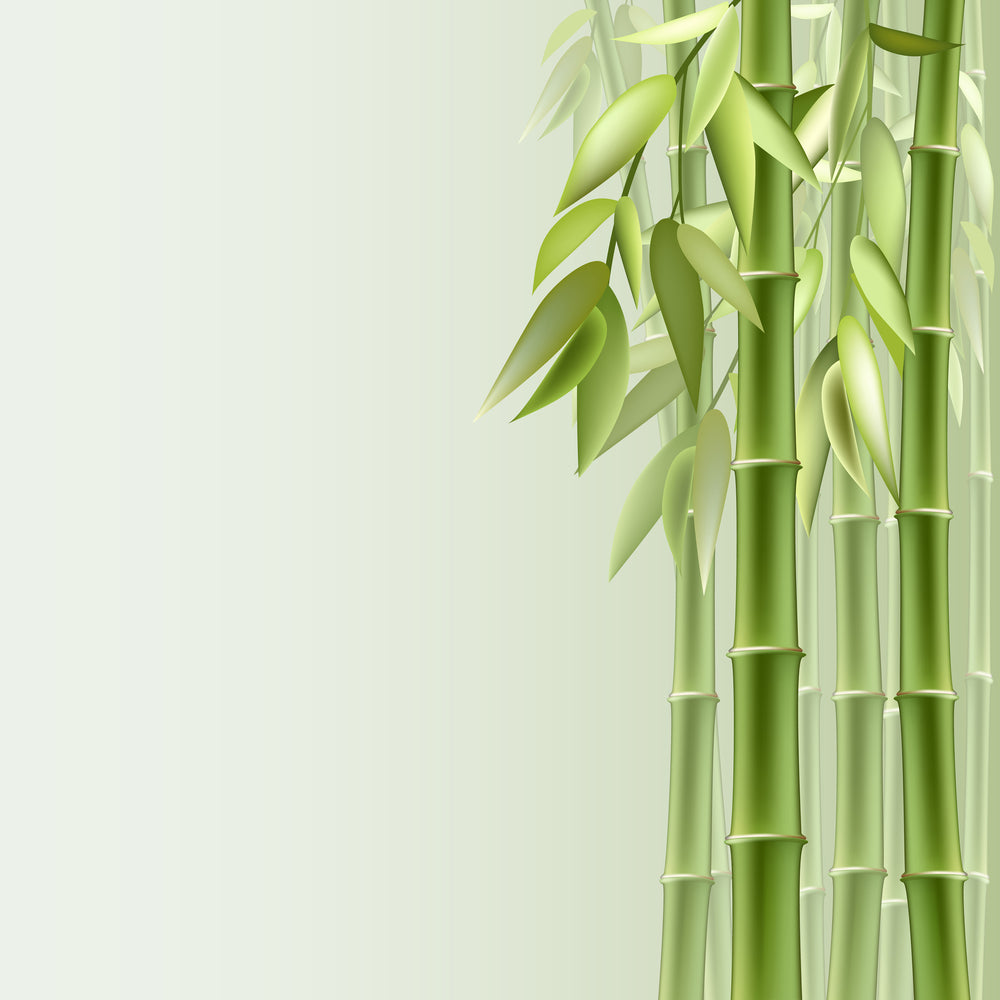 photo-wallpaper-green-bamboo