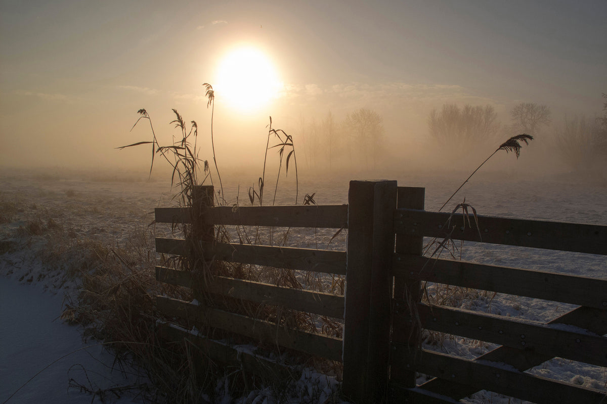 photo-wallpaper-winter-mood