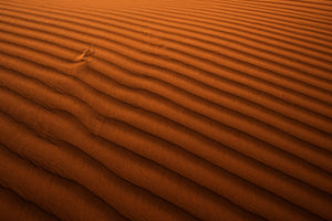 photo-wallpaper-golden-lines-x