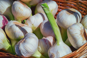 photo-wallpaper-fresh-garlic