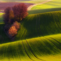 photo-wallpaper-green-fields