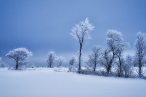 photo-wallpaper-winterland-x