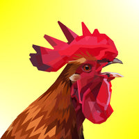 photo-wallpaper-the-rooster