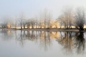 photo-wallpaper-january-morning