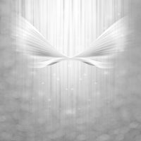 photo-wallpaper-angel-wings