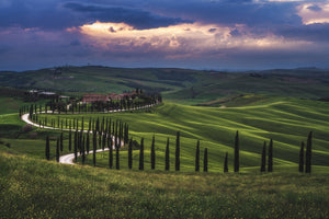 photo-wallpaper-tuscany-crete-senesi