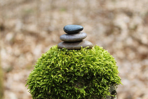 photo-wallpaper-stone-pile-on-plant