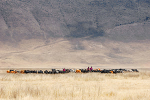 photo-wallpaper-incredible-maasai