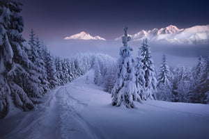 photo-wallpaper-in-the-winter-x