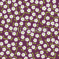 patterned-wallpaper-daisy-rain