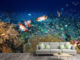 photo-wallpaper-reef-lifeii