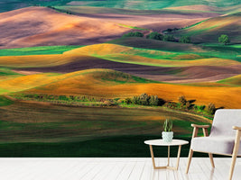 photo-wallpaper-the-palouse