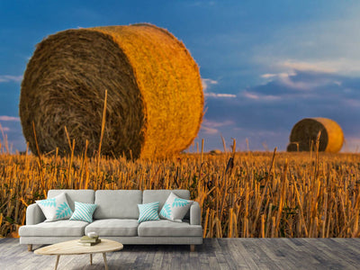 photo-wallpaper-straw-bales