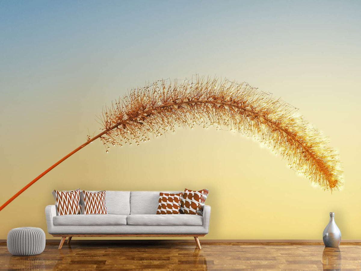 photo-wallpaper-ornamental-grass-in-xxl