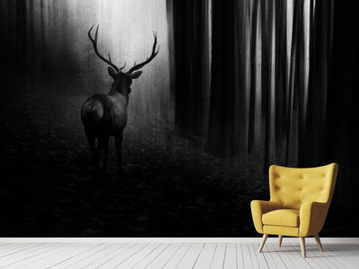 photo-wallpaper-stag