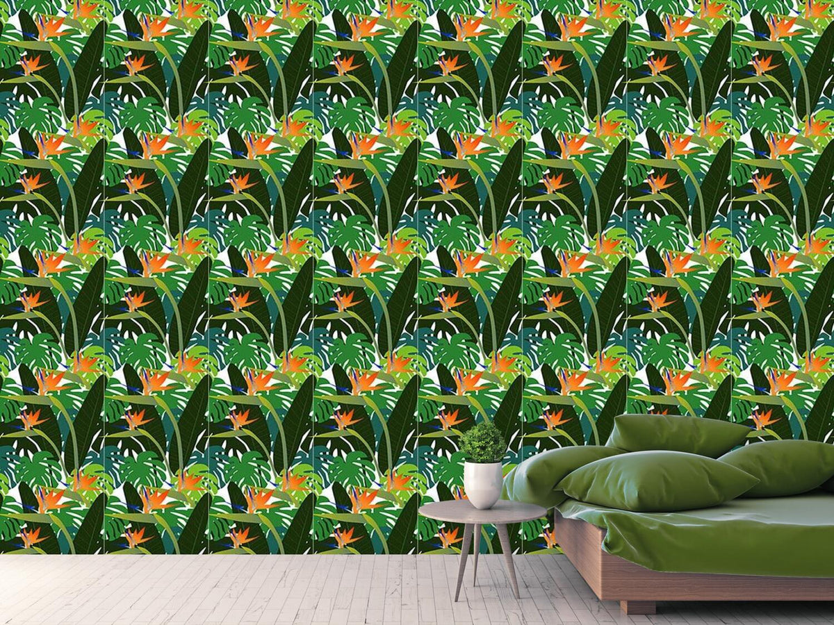 patterned-wallpaper-strelitzia