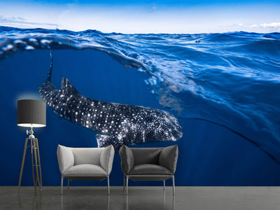 photo-wallpaper-whale-shark-on-split-level