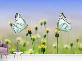 photo-wallpaper-2-butterflies