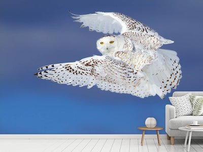 photo-wallpaper-flight-of-the-snowy-snowy-owl