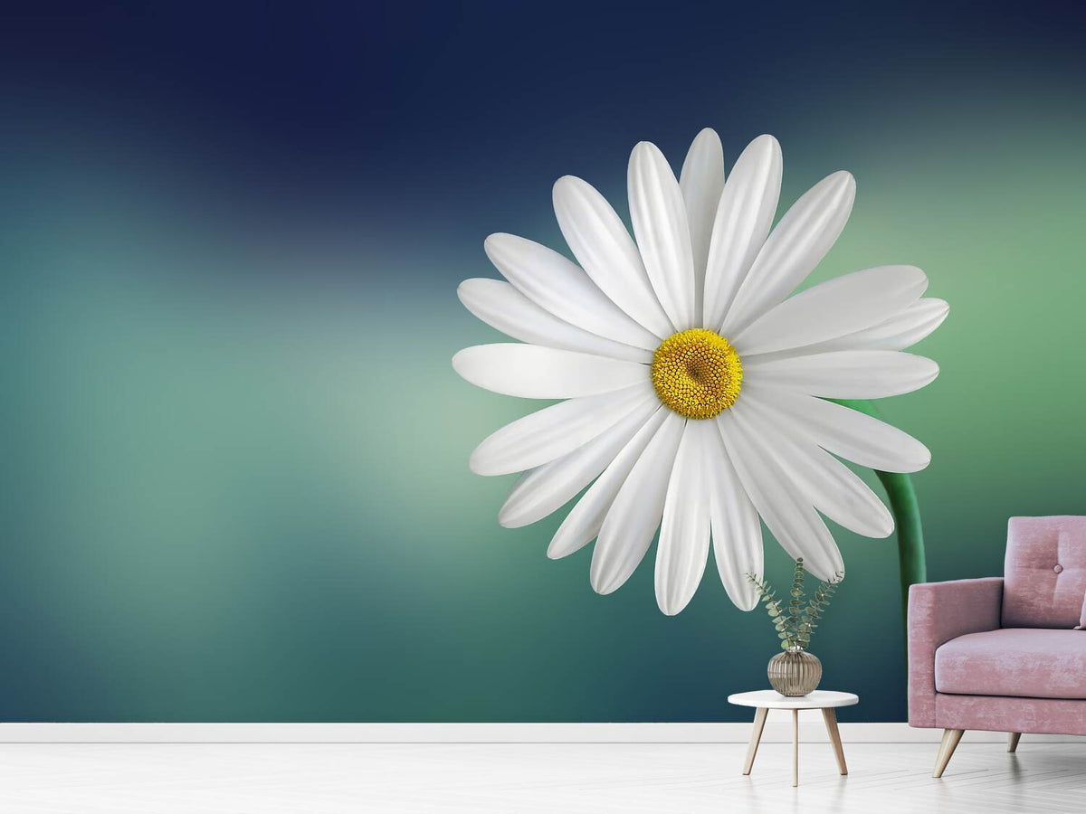 photo-wallpaper-flower