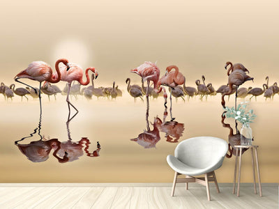 photo-wallpaper-flamingos-x