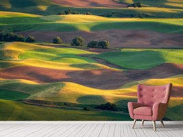 photo-wallpaper-colorful-palouse-x