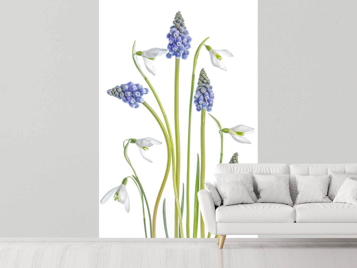 photo-wallpaper-muscari-and-galanthus