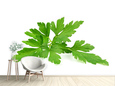 photo-wallpaper-leaves-of-parsley