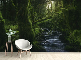 photo-wallpaper-hidden-wood-x