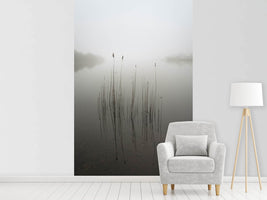 photo-wallpaper-reeds-in-the-mist