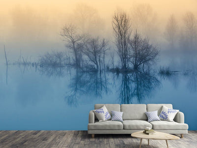 photo-wallpaper-morning-reflection-ii