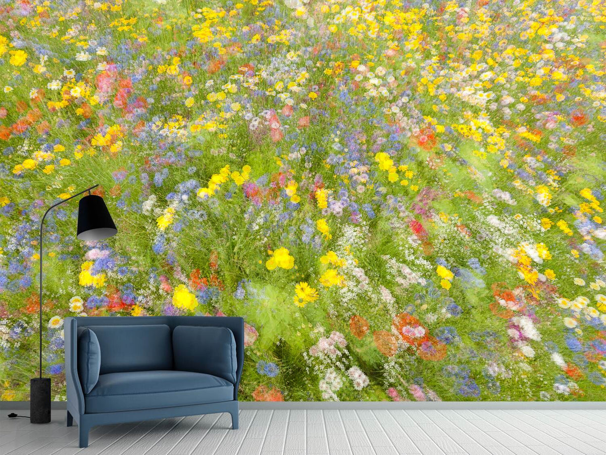 photo-wallpaper-summer-field-flowers-x