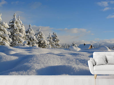 photo-wallpaper-beautiful-snow-landscape