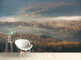 photo-wallpaper-misty-morning-ii-a